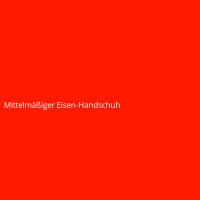 Mittelm&auml;&szlig;iger Eisen-Handschuh