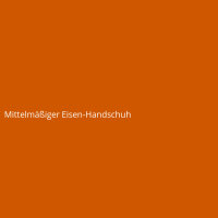Mittelm&auml;&szlig;iger Eisen-Handschuh