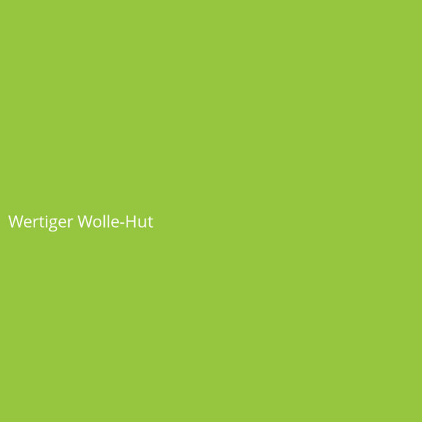 Wertiger Wolle-Hut